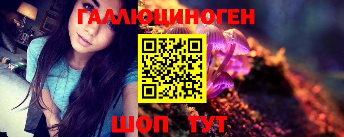Галлюциногенные грибы Psilocybine cubensis Луга