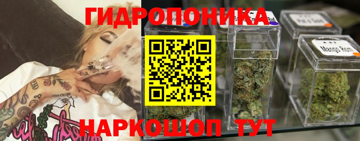 Конопля MAZAR  Канабис THC 21%  Бошки марихуана тримм  Луга  Вход с VPN 