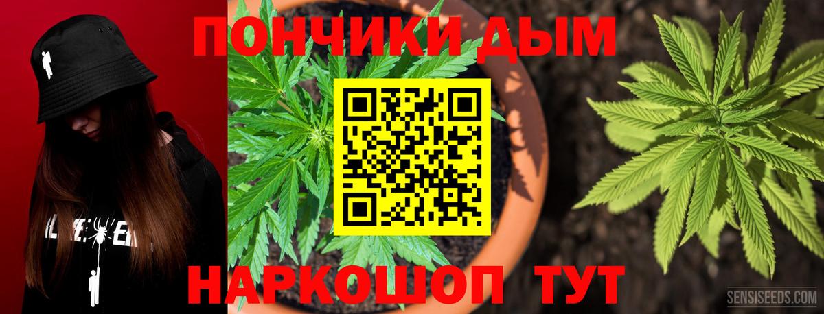 Канабис Bruce Banner Луга